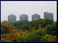 Overseas Chinese Town, Nanshan district skyline seen from Windows of the World.